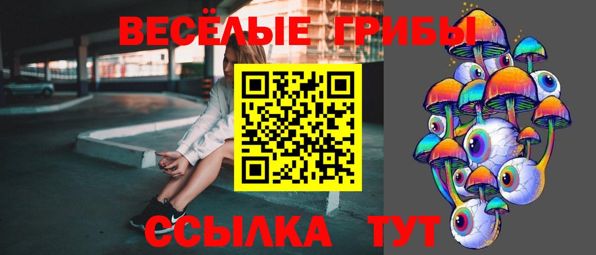 Галлюциногенные грибы Magic Shrooms Железногорск