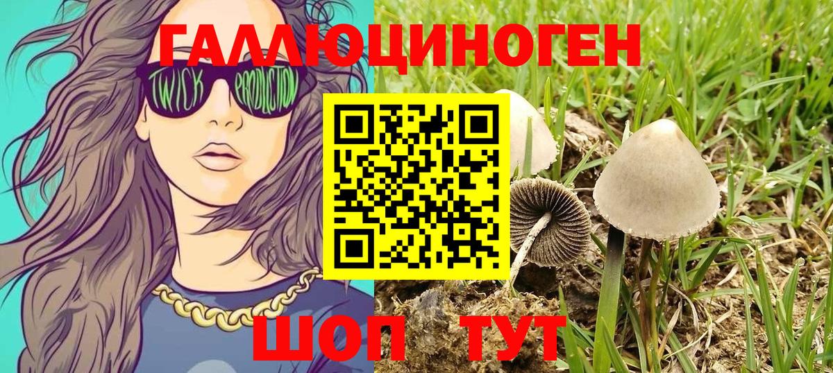 Псилоцибиновые грибы мицелий  Вход с VPN  что такое   Железногорск  Псилоцибиновые грибы MAGIC MUSHROOMS 